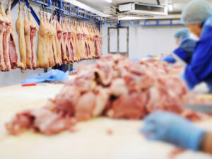 RSPH Level 2 Award in Understanding HACCP