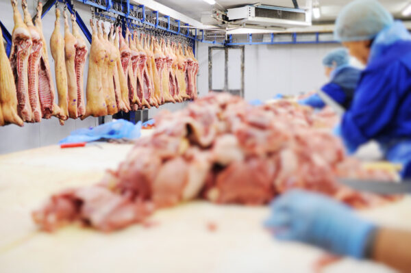 RSPH Level 2 Award in Understanding HACCP